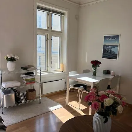 Big In Heart Of Bergen Apartment Hemnes