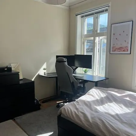Apartment Big In Heart Of Bergen *