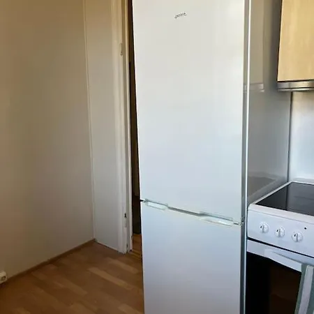 Big In Heart Of Bergen Apartment Hemnes